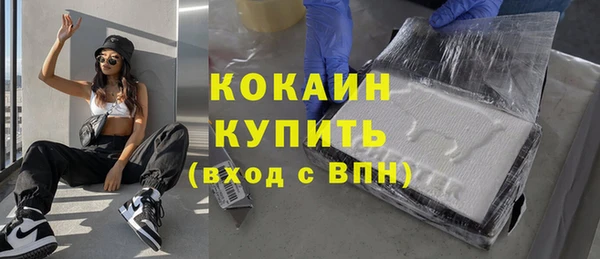 твердый Касимов