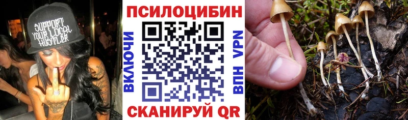 Галлюциногенные грибы Psilocybine cubensis  Купить где  Курчатов 